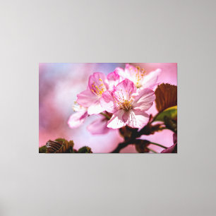 Bunch van verbluffende Sakura-bloemen van roze kle Canvas Afdruk