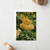 Bunch van Yellow Garden Rozen Notitiekaartje (Voorkant / Achterkant in situ)