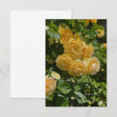 Bunch van Yellow Garden Rozen Notitiekaartje (Voorkant / Achterkant)