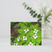 Bunchberry Briefkaart (Staand voorkant)