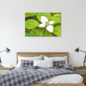 Bunchberry Canvas Afdruk (Insitu (Slaapkamer))