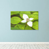Bunchberry Canvas Afdruk (Insitu (Houten vloer))