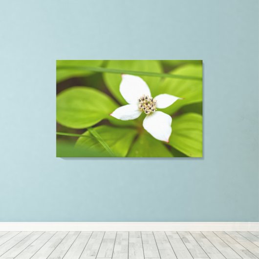 Bunchberry Canvas Afdruk (Insitu (Houten vloer))