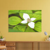 Bunchberry Canvas Afdruk (Insitu (Woonkamer))