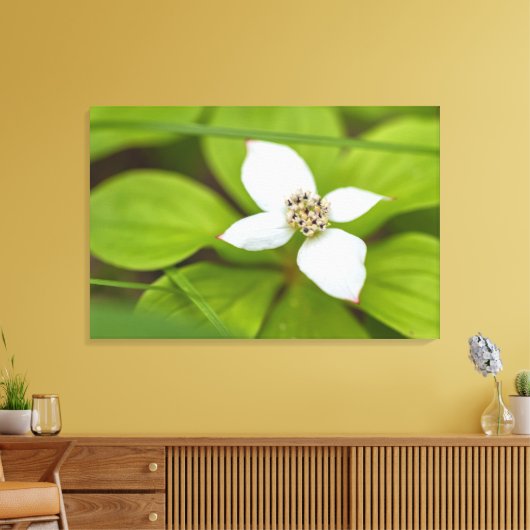 Bunchberry Canvas Afdruk (Insitu (Woonkamer))