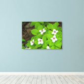 Bunchberry Canvas Afdruk (Insitu (Houten vloer))