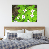 Bunchberry Canvas Afdruk (Insitu (Slaapkamer))