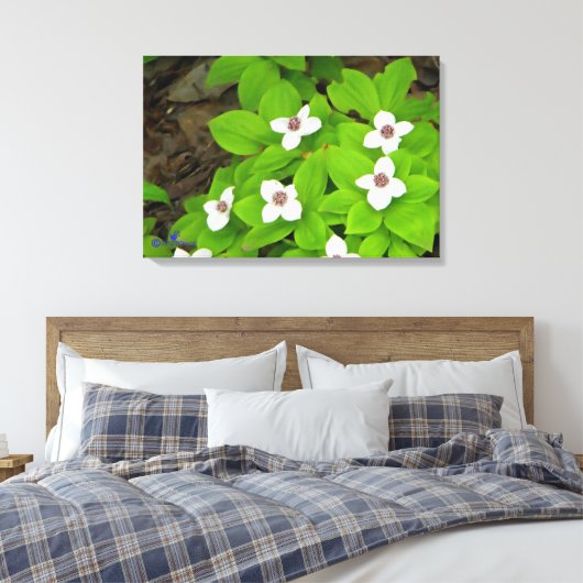 Bunchberry Canvas Afdruk (Insitu (Slaapkamer))