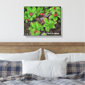 Bunchberry met bessen canvas afdruk (Insitu (Slaapkamer))