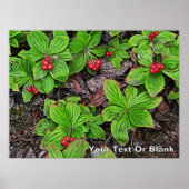 Bunchberry met bessen poster (Voorkant)