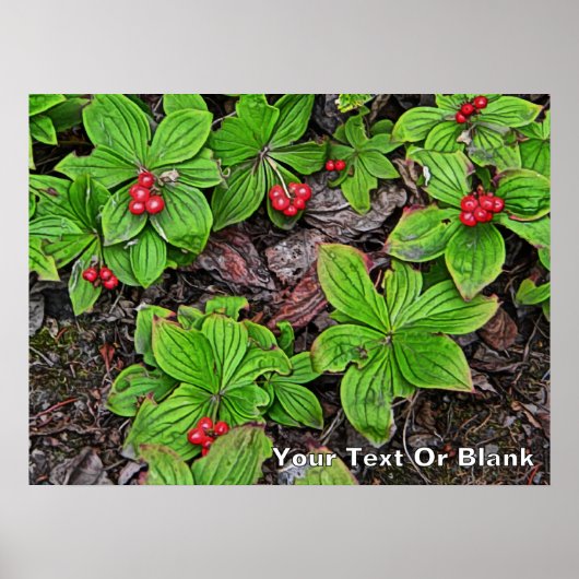 Bunchberry met bessen poster (Voorkant)