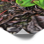 Bunchberry met bessen poster (Hoek)