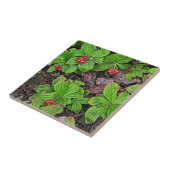 Bunchberry met bessen tegeltje (Zijkant)