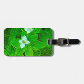 Bunchberry White Wildflower Abstract Bagagelabel (Voorkant horizontaal)