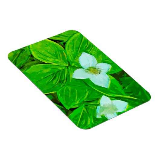 Bunchberry White Wildflower Abstract Magneet (Rechterzijde)