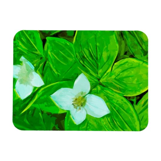 Bunchberry White Wildflower Abstract Magneet (Horizontaal)