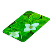 Bunchberry White Wildflower Abstract Magneet (Linkerzijde)