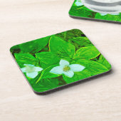 Bunchberry White Wildflower Abstract Onderzetter (Linkerzijde)