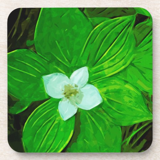 Bunchberry White Wildflower Bier Onderzetter (Voorkant)