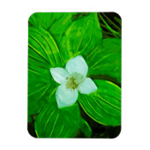 Bunchberry White Wildflower Magneet (Verticaal)