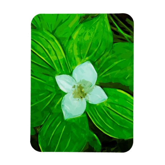 Bunchberry White Wildflower Magneet (Verticaal)