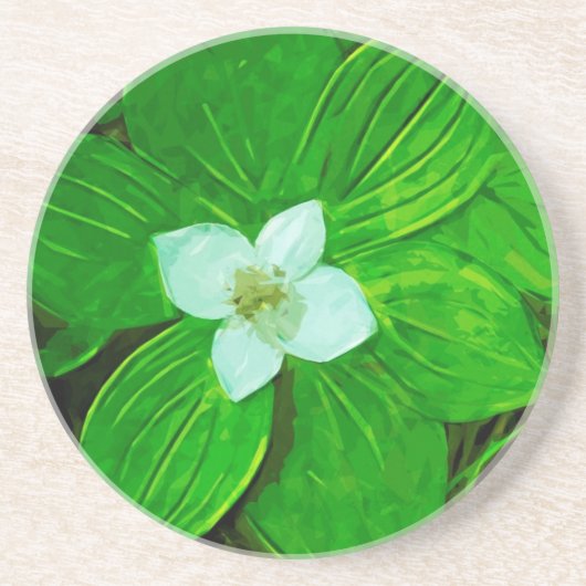 Bunchberry White Wildflower Zandsteen Onderzetter (Voorkant)