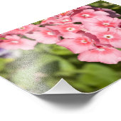 Bunches en Bunches Foto Afdruk (Hoek)