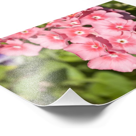 Bunches en Bunches Foto Afdruk (Hoek)