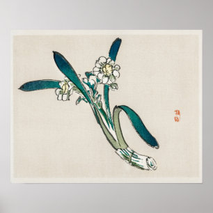 Bunchflower Daffodil door Kono Bairei (1844-1895) Poster