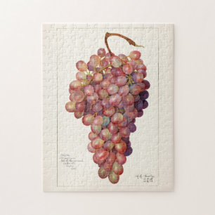 bundel rode druiven voor het schilderen van fruit legpuzzel
