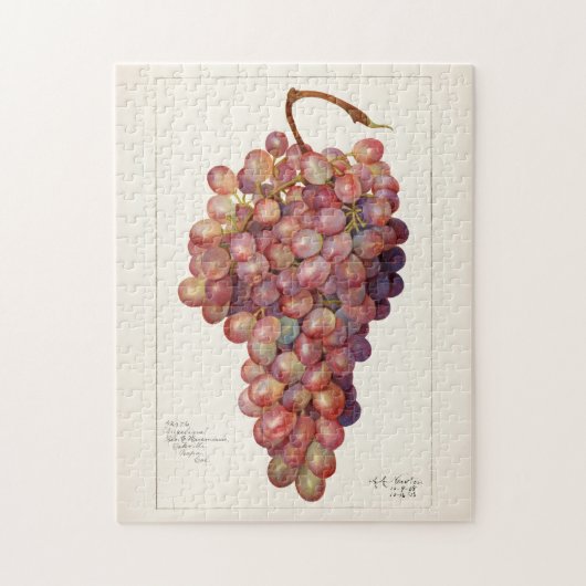  bundel rode druiven voor het schilderen van fruit legpuzzel (Verticaal)