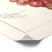  bundel rode druiven voor het schilderen van fruit poster (Hoek)