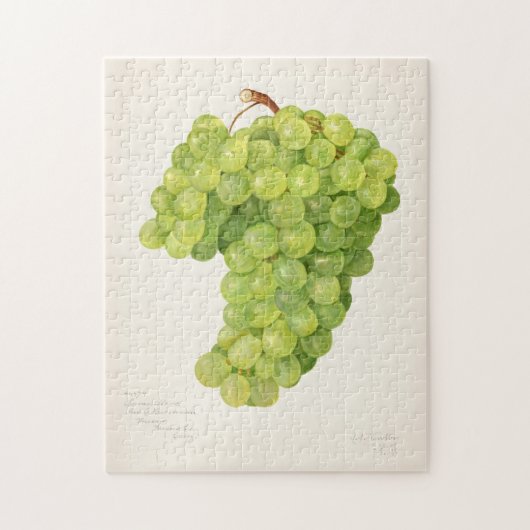 bundel van groendruiven voor het schilderen van f legpuzzel (Verticaal)