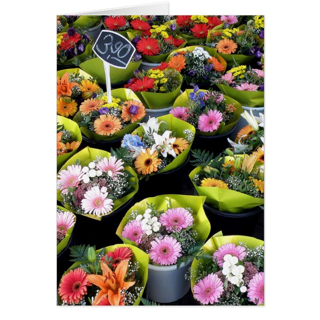 Bundel van Joy (Voorkant)