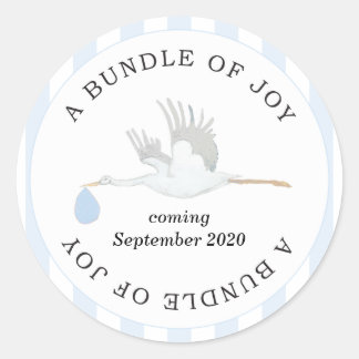 Bundel van Joy Baby Boy Stickers