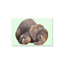 Bundel van Joy Canvas Kunst