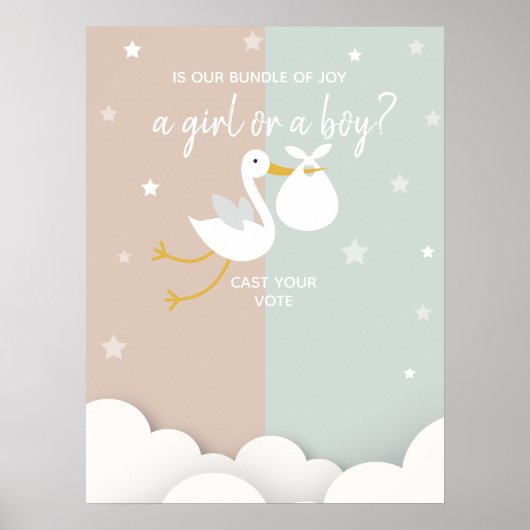 Bundel van Joy Stork Gender onthult stemmen Poster (Voorkant)