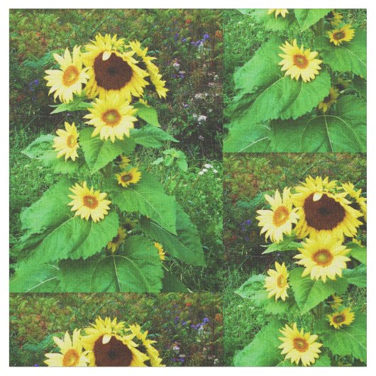 BUNDEL ZONNEBLOEMEN STOF (Close Up)