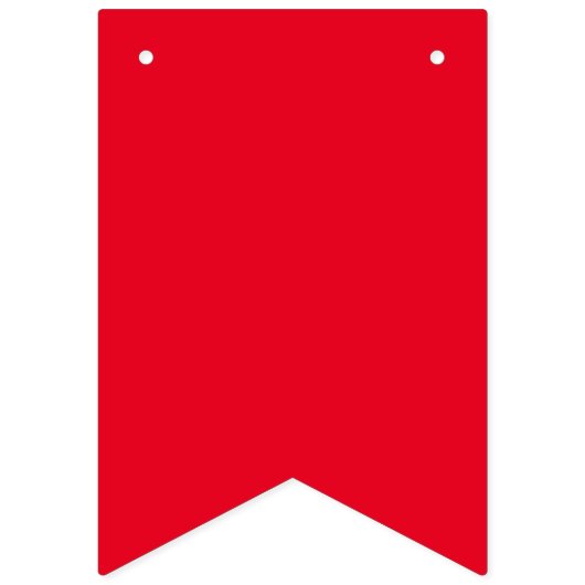 bundelbanner vlaggetjes (Eerste vlag)