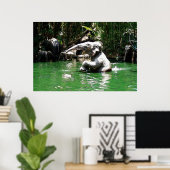 Bungle in het Oerwoud 36 x 24 Poster (Thuiskantoor)