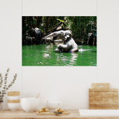 Bungle in het Oerwoud 36 x 24 Poster (Keuken)