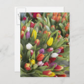 Bunken van kleurrijke tulpen briefkaart (Voorkant / Achterkant)