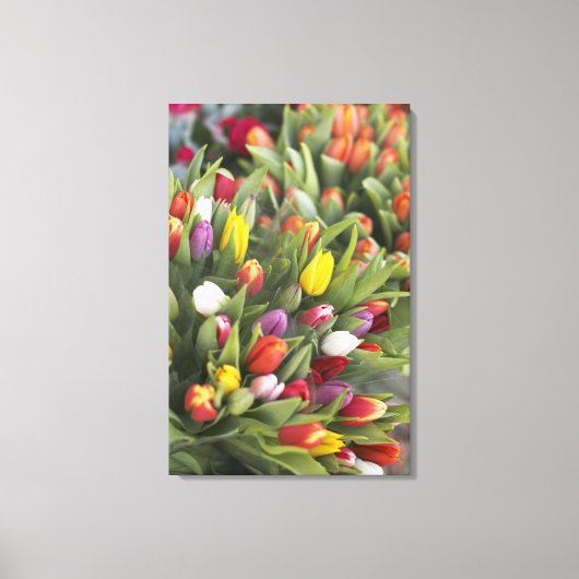 Bunken van kleurrijke tulpen canvas afdruk (Voorkant)