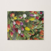 Bunken van kleurrijke tulpen legpuzzel (Horizontaal)