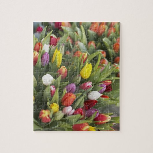 Bunken van kleurrijke tulpen legpuzzel (Verticaal)
