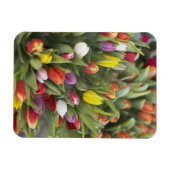 Bunken van kleurrijke tulpen magneet (Horizontaal)