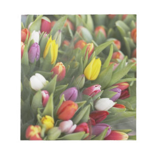 Bunken van kleurrijke tulpen notitieblok