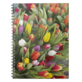 Bunken van kleurrijke tulpen notitieboek (Voorkant)