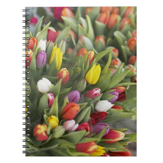 Bunken van kleurrijke tulpen notitieboek (Voorkant)