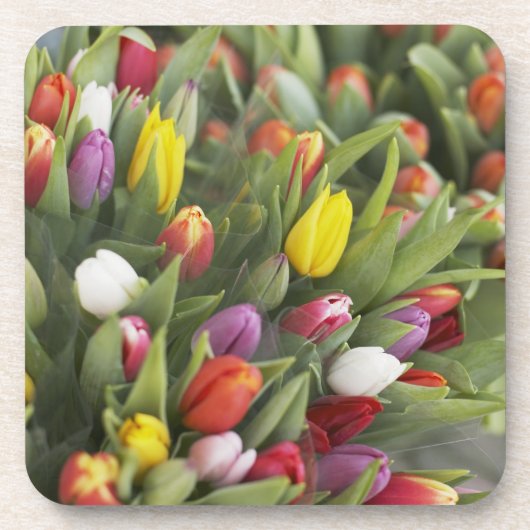 Bunken van kleurrijke tulpen onderzetter (Voorkant)